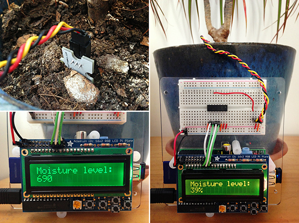 Build a Raspberry Pi Moisture Sensor to Monitor Your Plants | Mactuts+