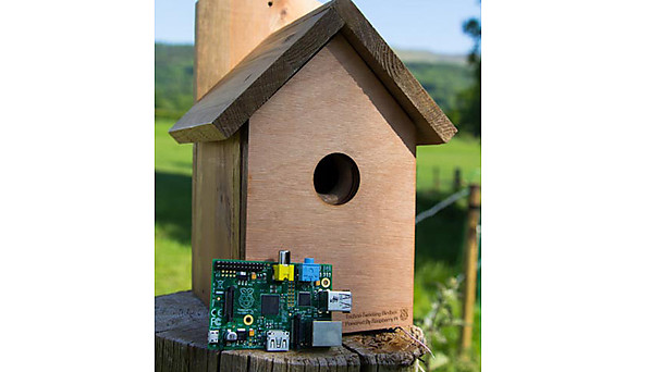 BBC - Blogs - SPRINGWATCH - Raspberry Pi bird box
