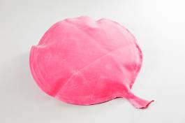 Raspberry Pi: Internet Controlled Whoopee Cushion - element14