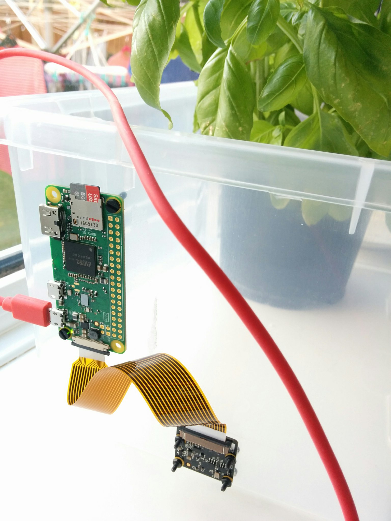 Automatically tweet pictures of your growbox with a Raspberry Pi
